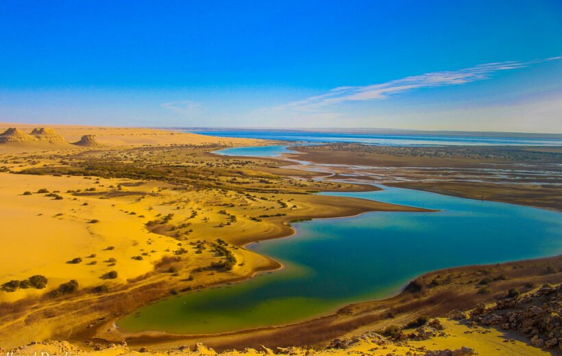 Private Day Tour to El Fayoum Oasis and sightseeing from Cairo