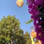 Gallery Thumbnail 15