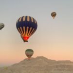 Gallery Thumbnail 11