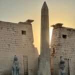 Gallery Thumbnail 14