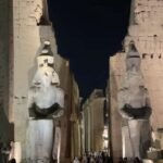 Gallery Thumbnail 12