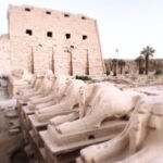 Gallery Thumbnail 24