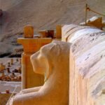 Gallery Thumbnail 10